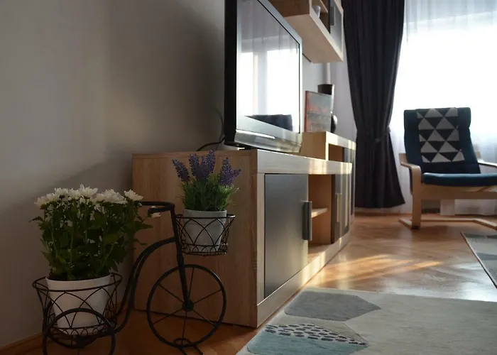 Modern And Cozy Apartment